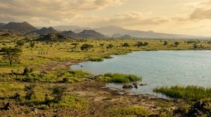 Ancient Lake Turkana landscape in Kenya 1.43 million years ago